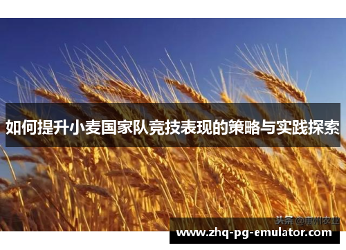 如何提升小麦国家队竞技表现的策略与实践探索
