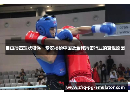自由搏击现状堪忧：专家揭秘中国及全球搏击行业的衰退原因